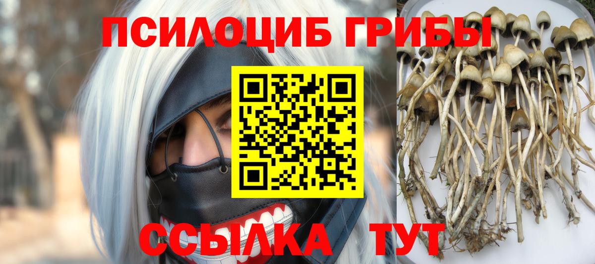 Галлюциногенные грибы Psilocybine cubensis  закладка  Калуга  Вход с VPN 