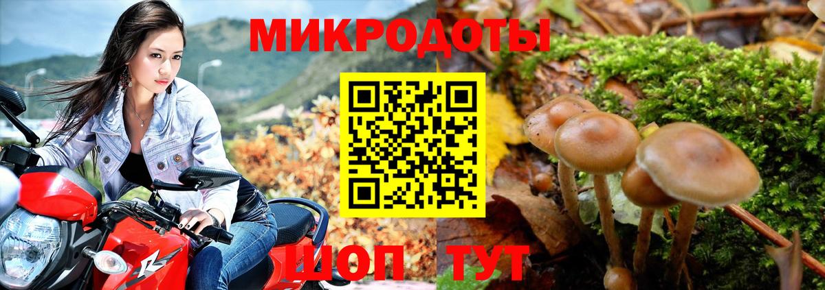 Псилоцибиновые грибы мицелий Калуга