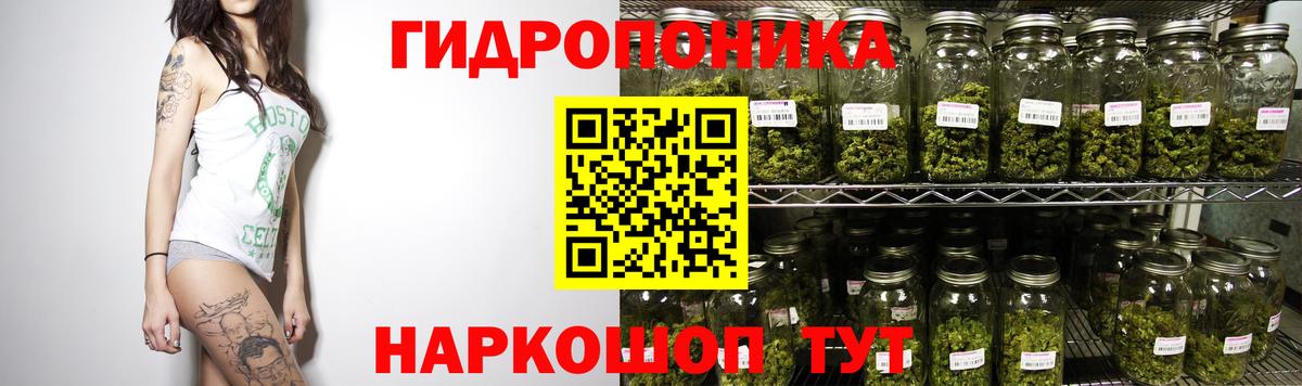 Конопля конопля Калуга